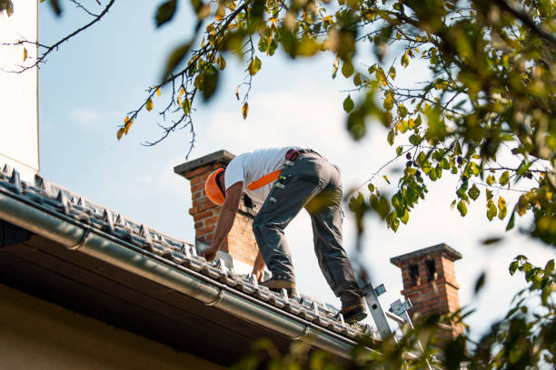 Best Slate Roofing Contractor  in Hamilton, MO