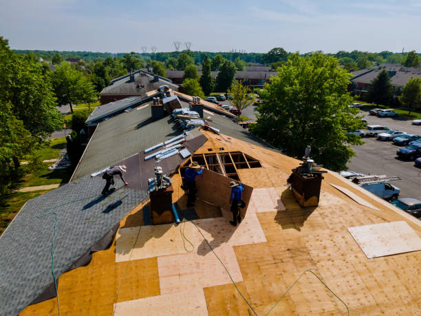 Quick and Trustworthy Emergency Roof Repair Services in Hamilton, MO