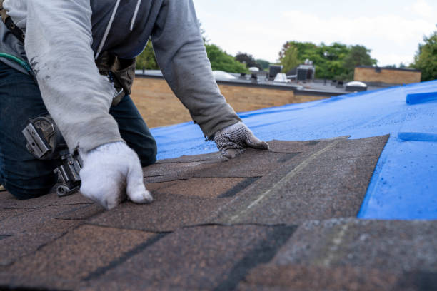 Best Commercial Roofing Services  in Hamilton, MO