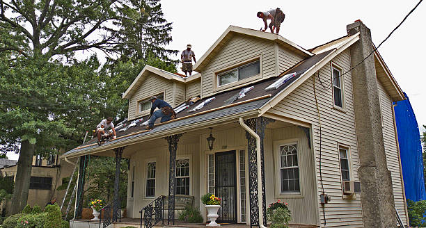 Best Roof Maintenance Services  in Hamilton, MO