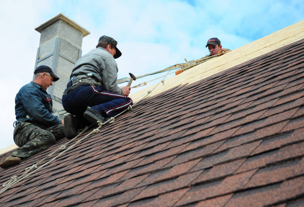 Best Roof Repair Services  in Hamilton, MO