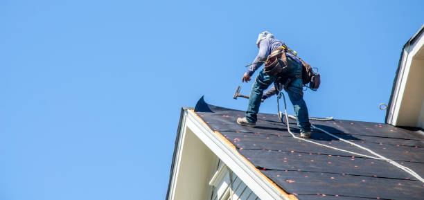 Best Roof Gutter Cleaning  in Hamilton, MO